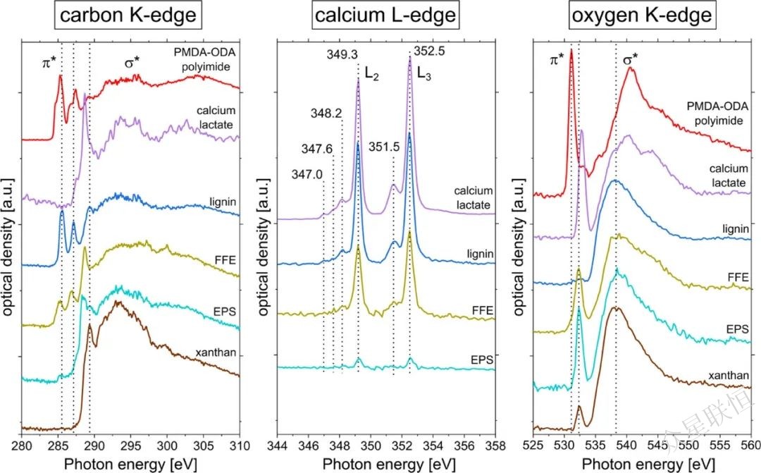 北京眾星聯(lián)恒科技有限公司 北京眾星聯(lián)恒科技有限公司